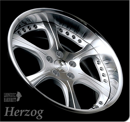 Herzog